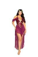 Wine Goddess  2pc Cosplay Women's Halloween Costume