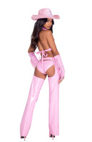 Sheriff Shine Cowgirl 6pc Cosplay Women's Halloween Costume