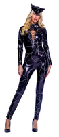 Fisty Feline Catwoman Cosplay Women's Costume