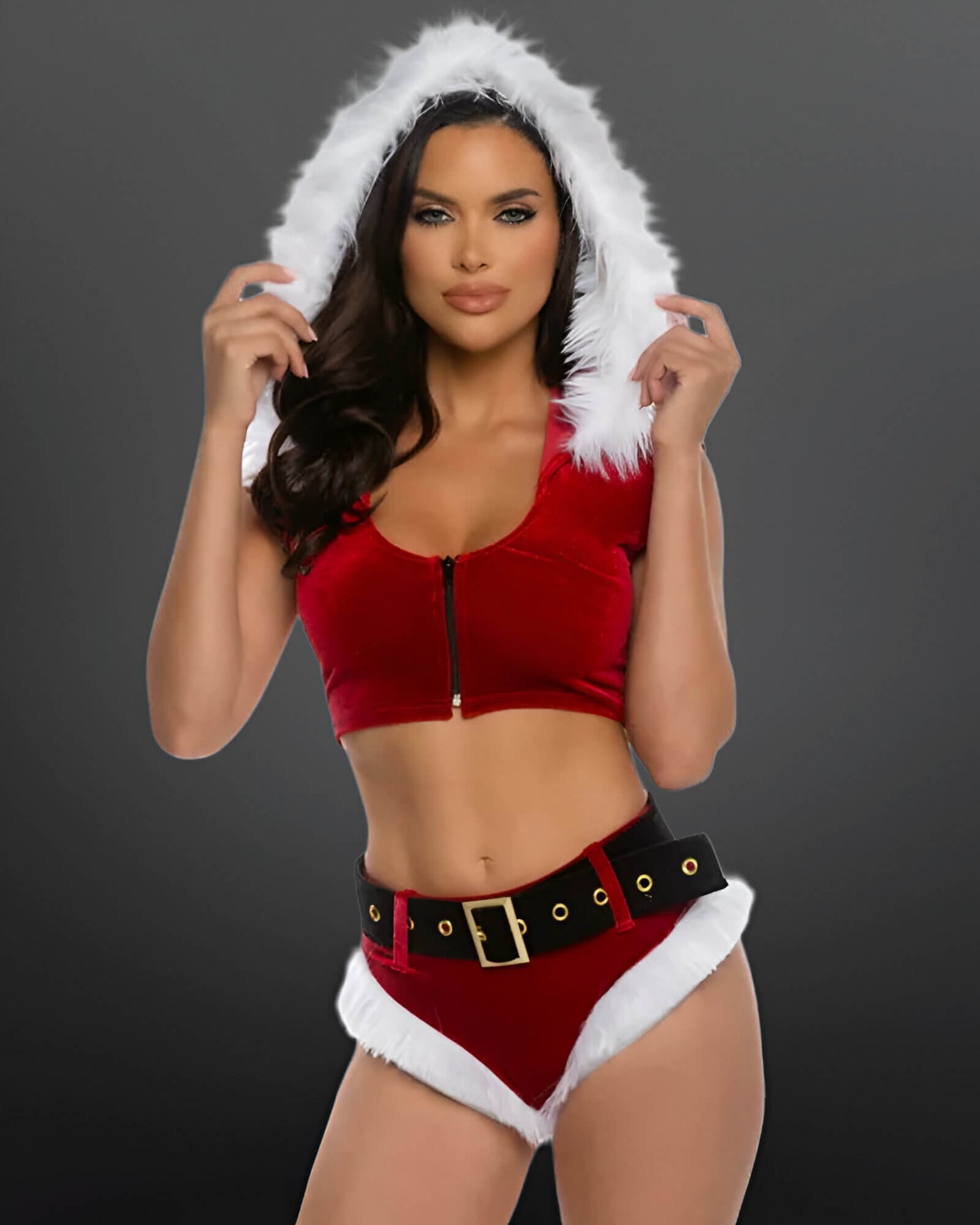 Holiday Vixen Santa Women’s Christmas Costume