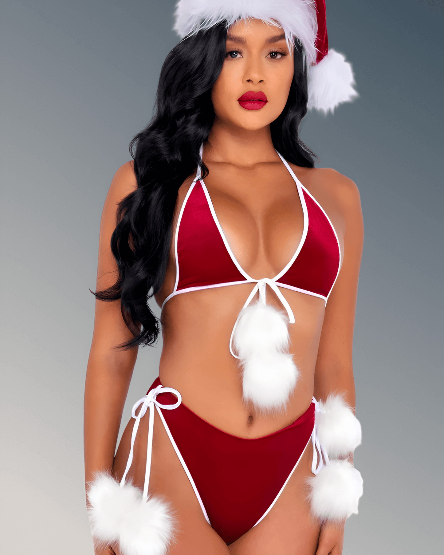 Santa's Holiday Spirit Women’s Christmas Costume