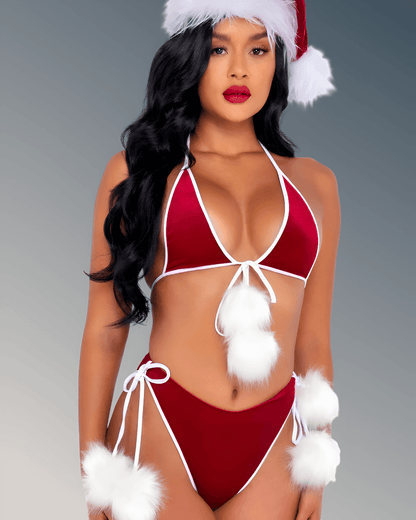 Santa's Holiday Spirit Women’s Christmas Costume