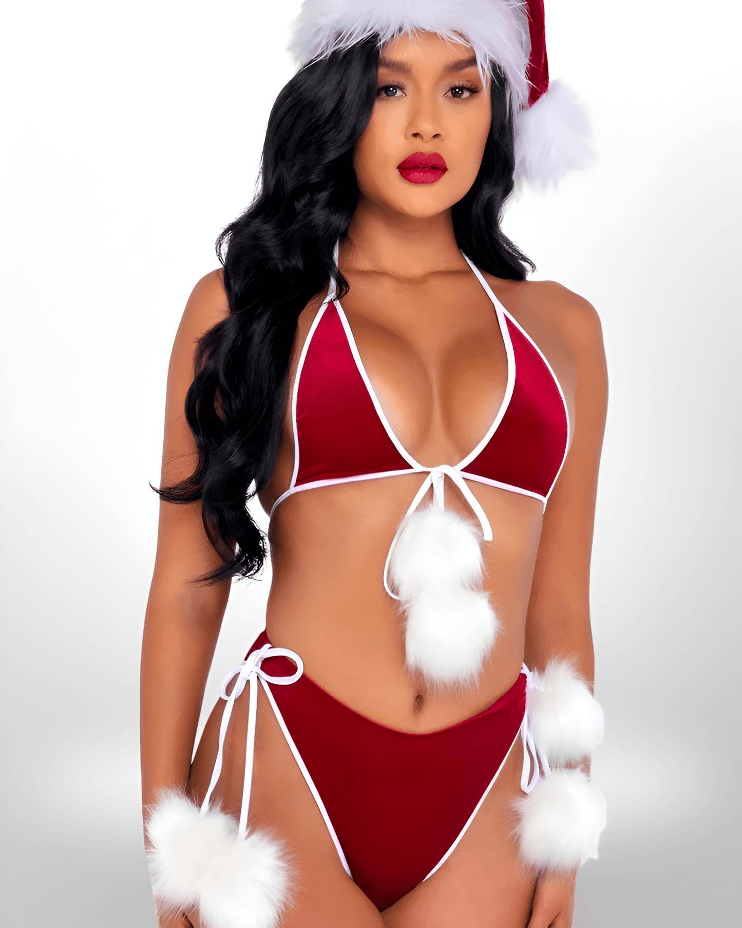 Santa's Holiday Spirit Women’s Christmas Costume
