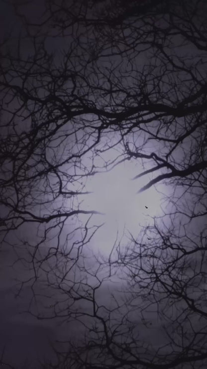 Gothic Wednesday Girl Women's 1pc Halloween Cosplay Costume